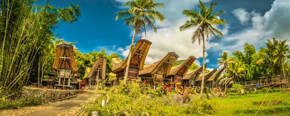 Tongkonan-Häuser und Palmen in Kete Kesu im Gebiet Tana Toraja in Süd-Sulawesi – © michalknitl - stock.adobe.com
