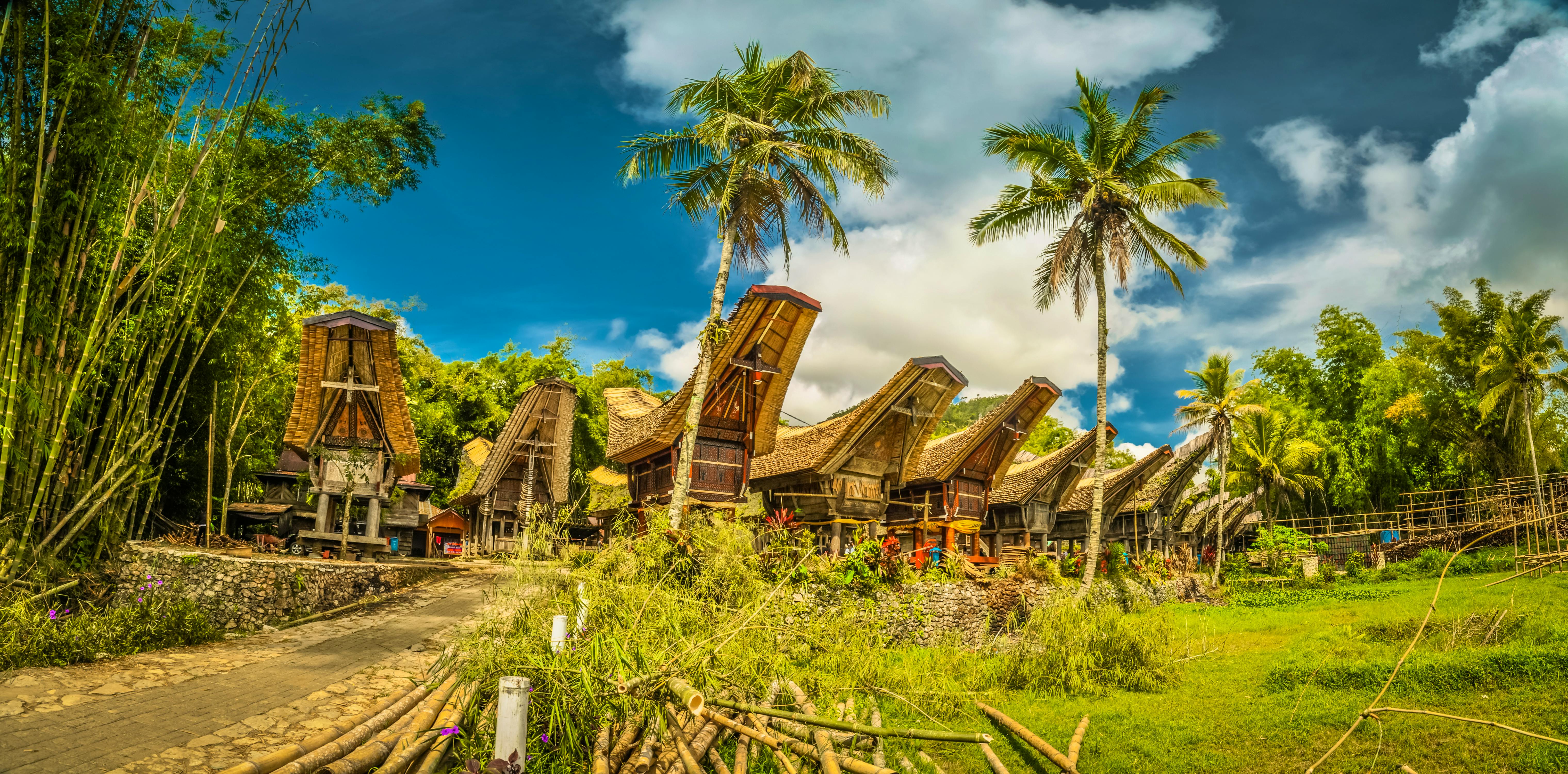 Tongkonan-Häuser und Palmen in Kete Kesu im Gebiet Tana Toraja in Süd-Sulawesi – © michalknitl - stock.adobe.com