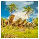 Tongkonan-Häuser und Palmen in Kete Kesu im Gebiet Tana Toraja in Süd-Sulawesi – © michalknitl - stock.adobe.com