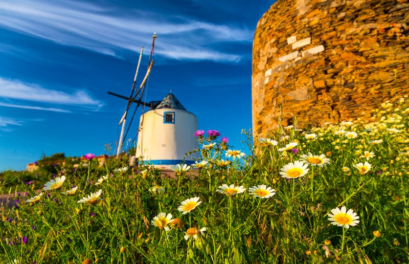 Traditionelle Windmühle in Odemira - Alentejo - ©JUAN CARLOS MUNOZ - stock.adobe.com