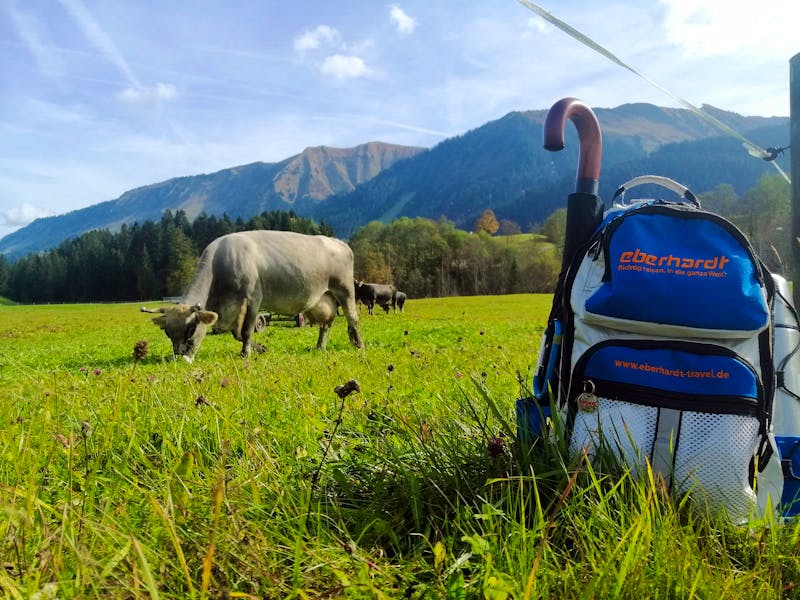 Wandern im Kleinwalsertal - ©Andrej Kulikov - Eberhardt TRAVEL