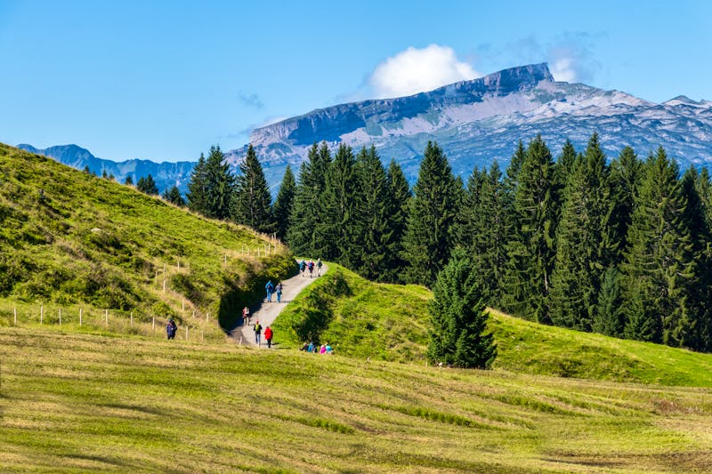 Blick vom Söllereck zum Hohen Ifen - ©Tanja Wilbertz - stock.adobe.com