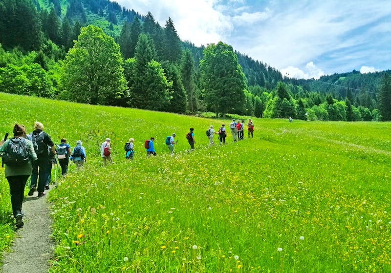 Wanderung zur Kanzelwandbahn - ©Andrej Kulikov - Eberhardt TRAVEL