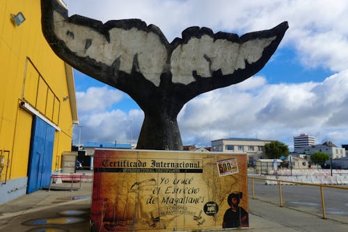 im Hafen von Punta Arenas &ndash; &copy; Frank Nimschowski - Eberhardt TRAVEL