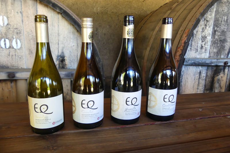 Weinverkostung auf dem Weingut Matetic in Chile - ©Frank Nimschowski - Eberhardt TRAVEL