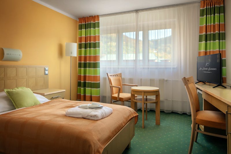 Karlsbad - Spa Resort Sanssouci - Zimmerbeispiel Einzelzimmer – ©Jiri Lizler