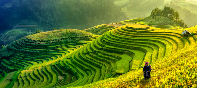 Reisterrassen in Mu Cang Chai