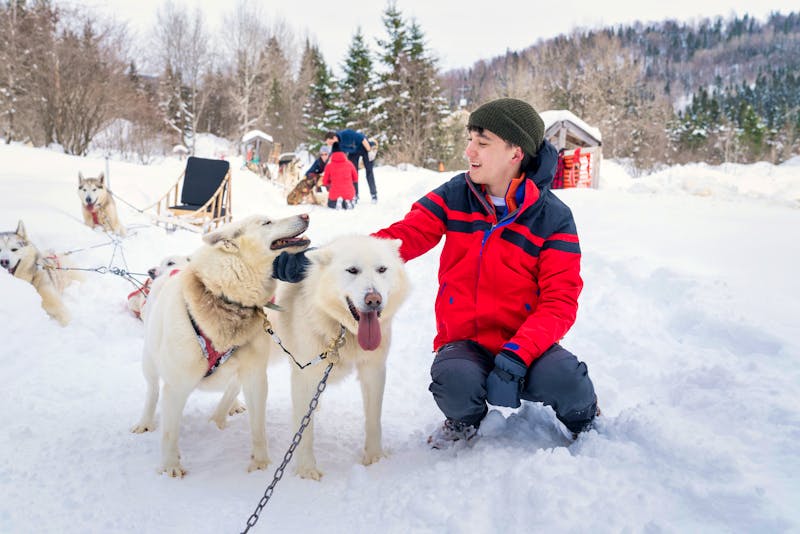 Hundeschlittentour mit Huskys in Quebec - ©romylee - stock.adobe.com
