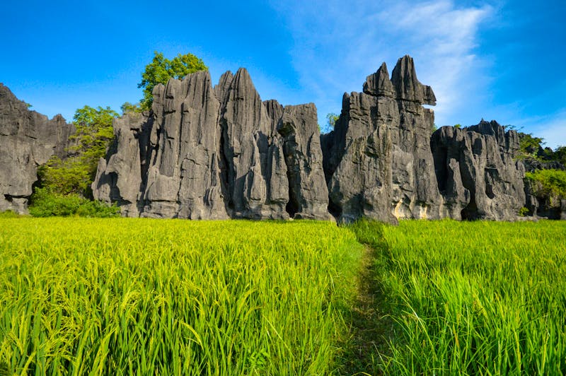 Kalkfelsen in Rammang-Rammang, Indonesia - ©travelphotos - stock.adobe.com