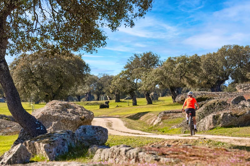 Radtour - ©Uwe - stock.adobe.com