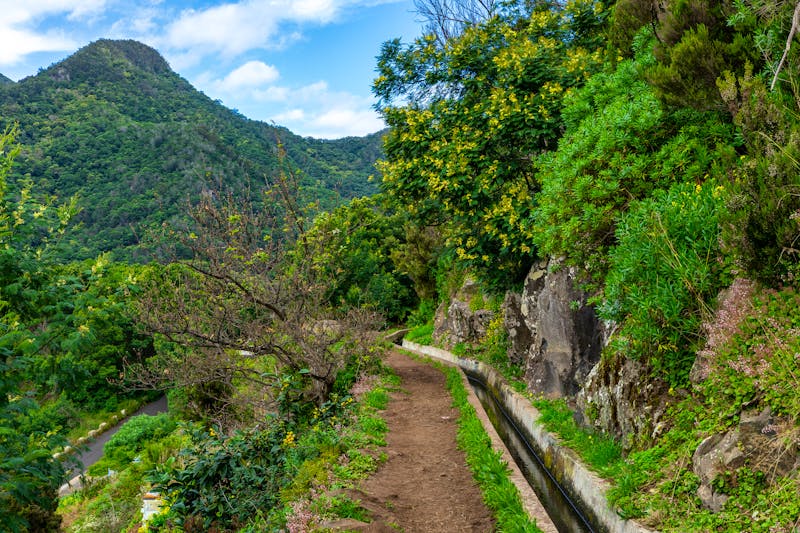 Levada-Wanderweg - Vereda do Larano - ©Curioso.Photography - stock.adobe.com