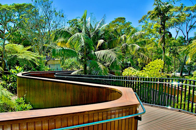 Taronga Zoo in Sydney  - ©geoff childs.  - stock.adobe.com