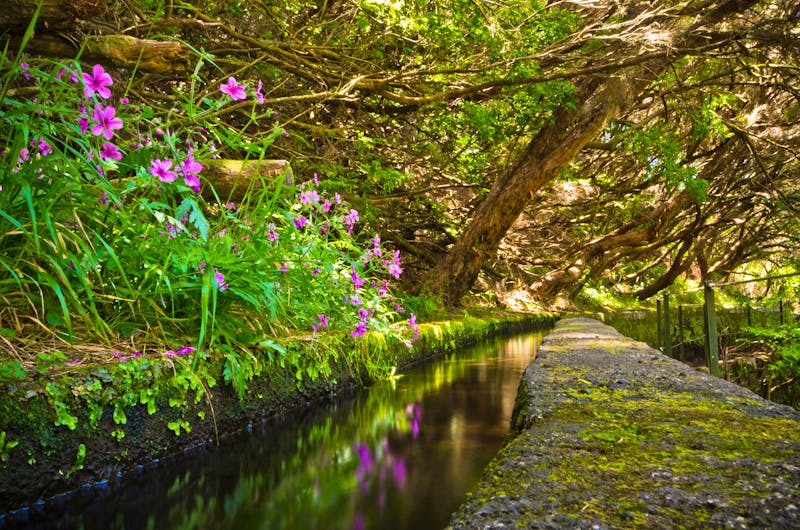 Levada am Wanderweg zu den 25 Quellen - ©CCat82 - stock.adobe.com