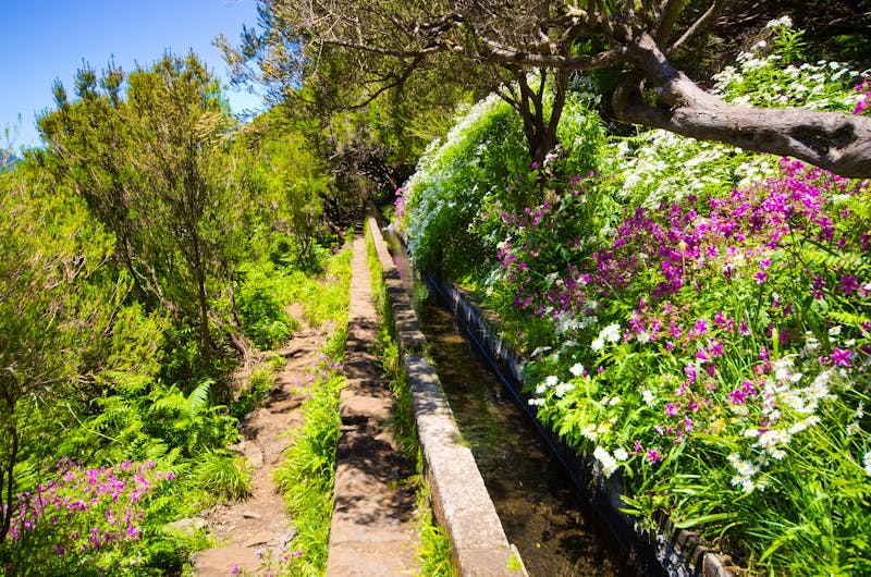 Levada am Wanderweg zu den 25 Quellen - ©CCat82 - stock.adobe.com