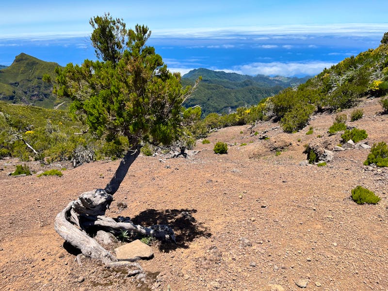 Wanderung zum Pico do Ruivo auf Madeira - ©Vicky Kern - Eberhardt TRAVEL