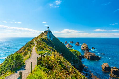 Leuchtturm am Nugget Point in den Catlins - Neuseeland &ndash; &copy; Fyle - stock.adobe.com