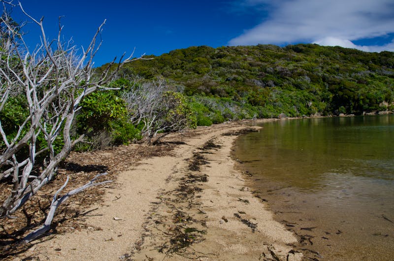 Boulder Beach in Ulva Island - Neuseeland - ©Víctor - stock.adobe.com