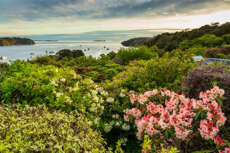 Aussicht von Oban und der Halfmoon Bay nach Stewart Island - Neuseeland - ©Johannes Jensås - stock.adobe.com