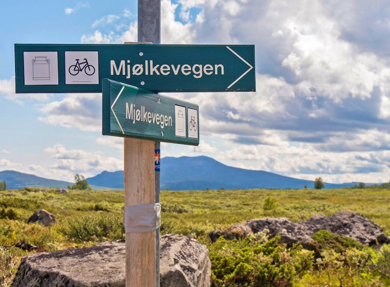 Radtour auf dem Mjölkevegen - Region Valdres - ©Anna Stiebing - Eberhardt TRAVEL
