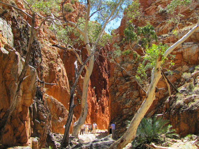Standley Chasm - Alice Springs, Australien - ©Jacob Spangenberg (Eberhardt TRAVEL)