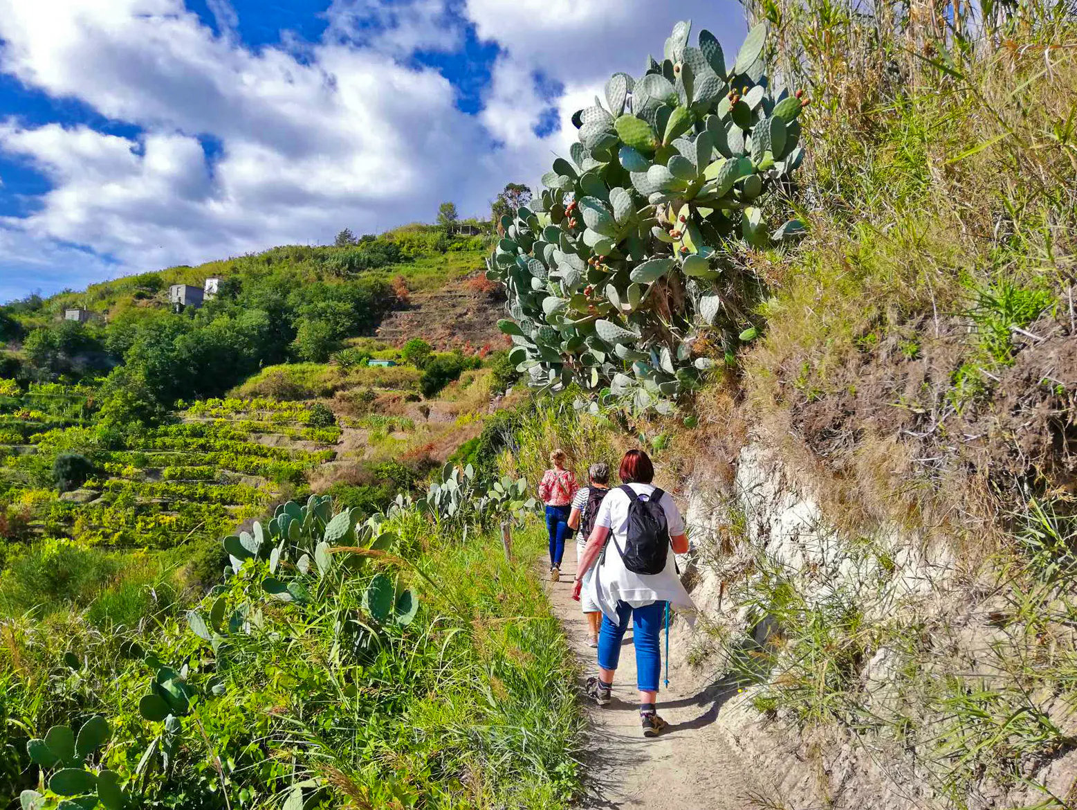 Wanderung auf der Insel Ischia - auf dem Piano Liguori&nbsp;&ndash;&nbsp;&copy;&nbsp;Gisela Gerlach - Eberhardt TRAVEL