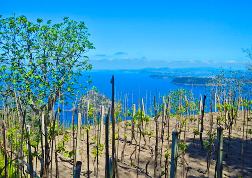 Wanderung auf Ischia - Piano Liguori - Campagnano &ndash; &copy; Bianka Kirsche - Eberhardt TRAVEL
