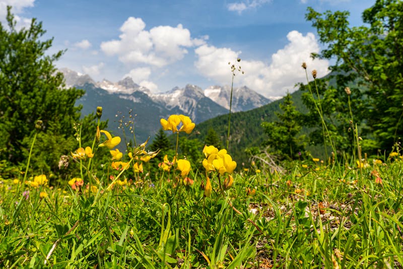 Wanderung zur Gleirschklamm bei Scharnitz - Karwendel - ©Andi K - stock.adobe.com