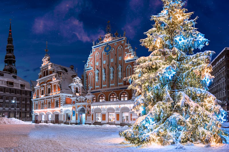 Riga im Winter - Rathausplatz mit prächtigem Weihnachtsbaum - Blick zum Schwarzhäupterhaus und zur Petrikirche - ©Maria Vonotna - stock.adobe.com
