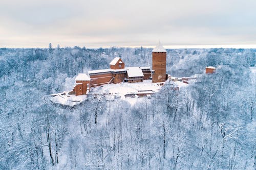 Burganlage Turaida bei Sigulda im Winter - Blick auf den verschneiten Wald &ndash; &copy; No useage without prior written consent