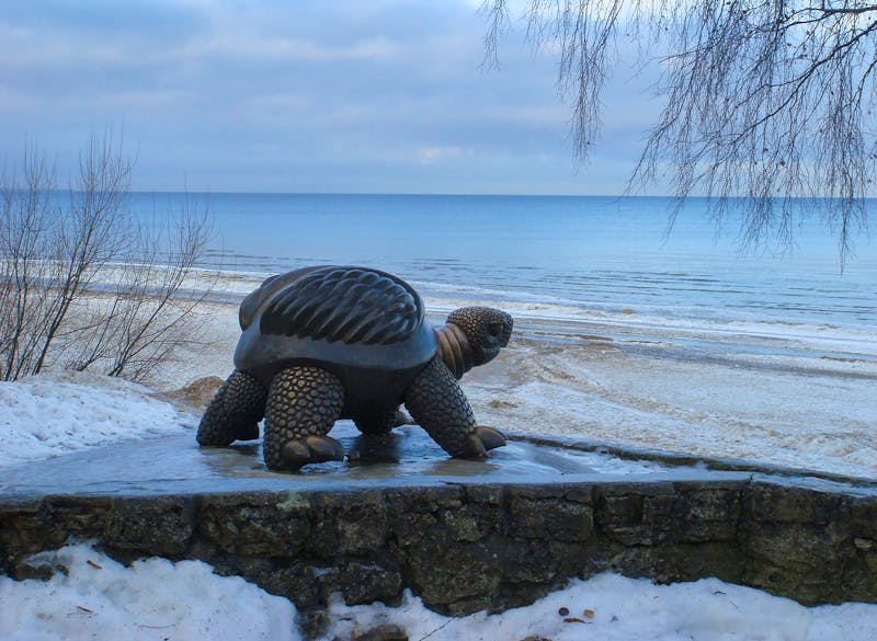 Seebad Jurmala im Winter - Schildkröten-Skulptur am Ostsee-Strand - ©Liudmyla - stock.adobe.com