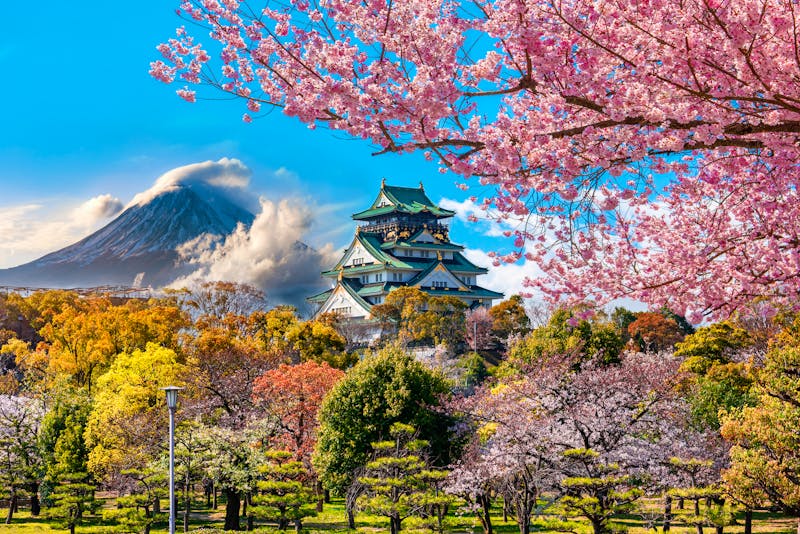  Osaka-Burg mit Kirschblüte und Fuji - Japan - ©chanchai - stock.adobe.com
