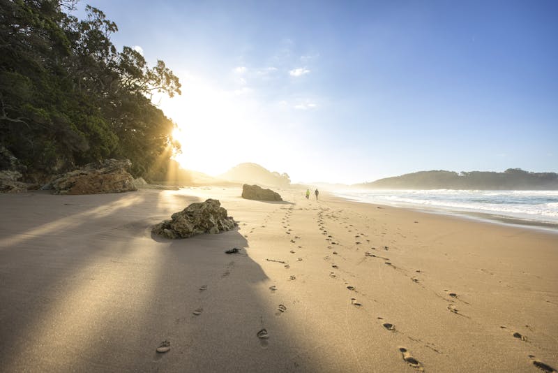 Hot Water Beach auf der Coromandel-Halbinsel - Neuseeland - ©Miles Holden / Tourism New Zealand