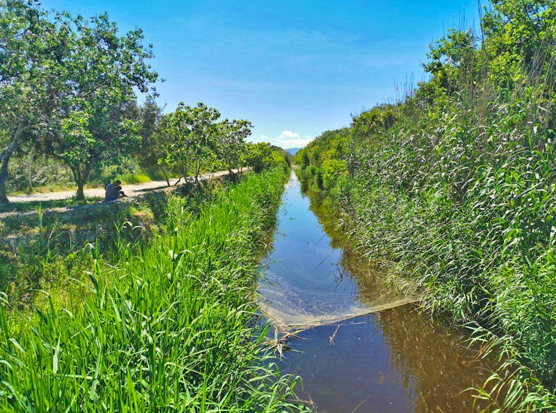 Wanderung im Naturschutzgebiet von S‘Albufera auf Menorca - ©Isabel Zwanzig - Eberhardt TRAVEL