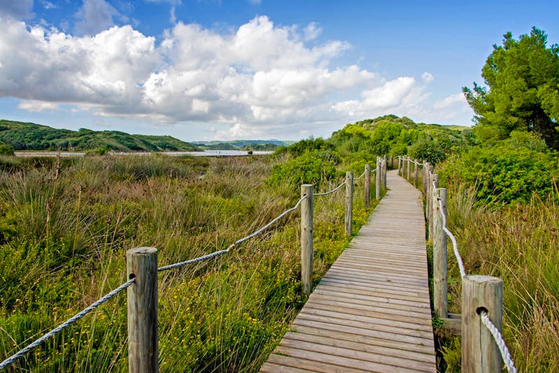Wanderweg im Naturpark S'Albufera bei Es Grau - ©Marcel Baechler - stock.adobe.com