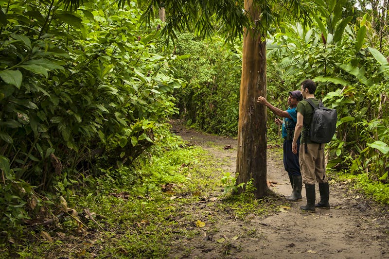Wanderung im Amazonas-Gebiet von Ecuador - ©Photographer: Jonathan Marrs