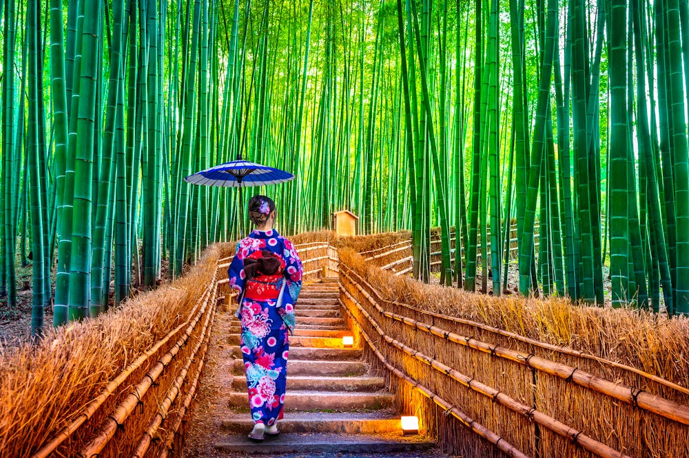 Asiatin im traditionellem Kimono im Bamboo Forest in Kyoto - Japan  &ndash; &copy; tawatchai1990 - stock.adobe.com