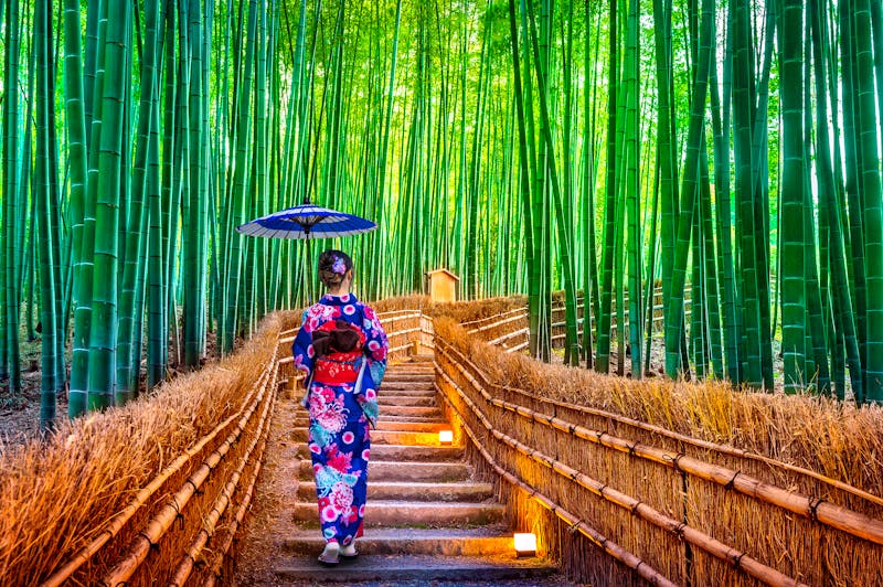 Asiatin im traditionellem Kimono im Bamboo Forest in Kyoto - Japan  - ©tawatchai1990 - stock.adobe.com