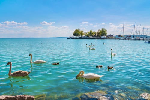 Balatonfüred am Nordufer des Plattensees in Ungarn &ndash; &copy; laszloszelenczey - stock.adobe.com
