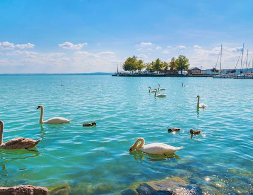 Balatonfüred am Nordufer des Plattensees in Ungarn – © laszloszelenczey - stock.adobe.com