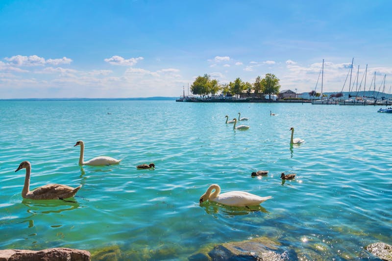 Balatonfüred am Nordufer des Plattensees in Ungarn - ©laszloszelenczey - stock.adobe.com