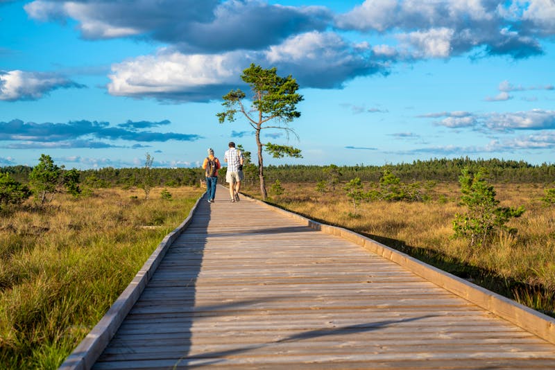 Wanderung im Store Mosse Nationalpark bei Jönköping - ©Sebastian - stock.adobe.com
