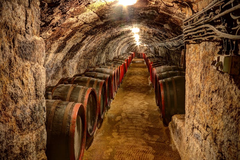 Weinkeller in Tokaj - Tokajer Wein - ©zagorskid - stock.adobe.com