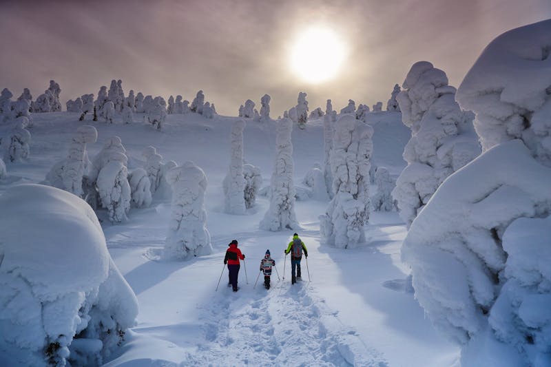Ruka Kuusamo Winterlandschaft - ©Harri Tarvainen