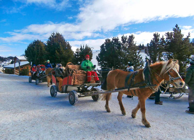 Pferdeschlittenfahrt auf der Seiser Alm - ©Ingrid Langer - Eberhardt TRAVEL