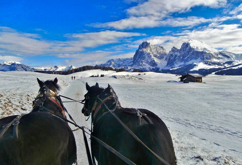 Pferdeschlittenfahrt auf der Seiser Alm - ©Ingrid Langer - Eberhardt TRAVEL