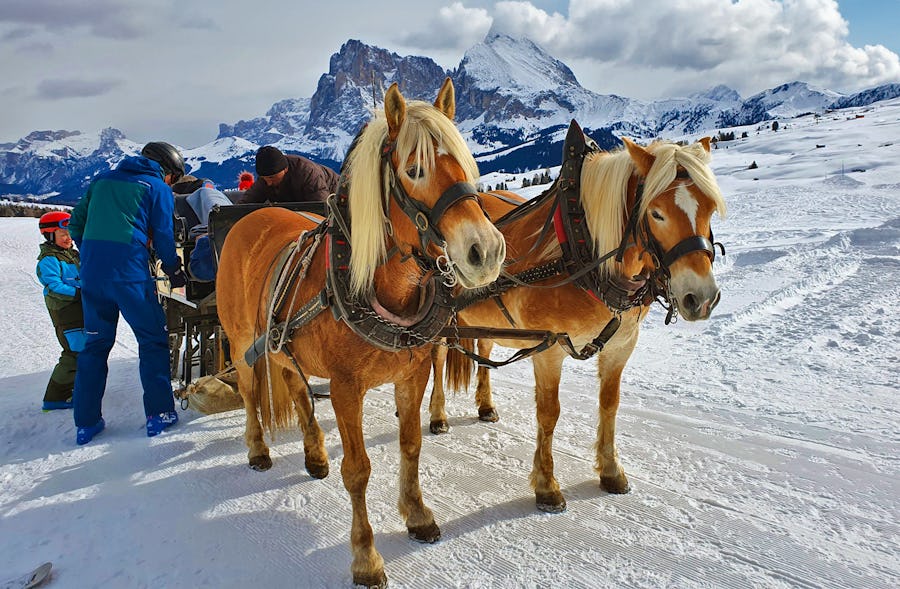 Pferdeschlitten auf der Seiser Alm - Südtirol – © Ria Heilmann - Eberhardt TRAVEL