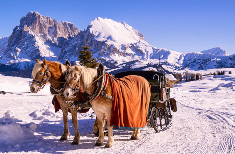 Pferdeschlitten auf der Seiser Alm in den Dolomiten - ©lotusblüte17 - stock.adobe.com