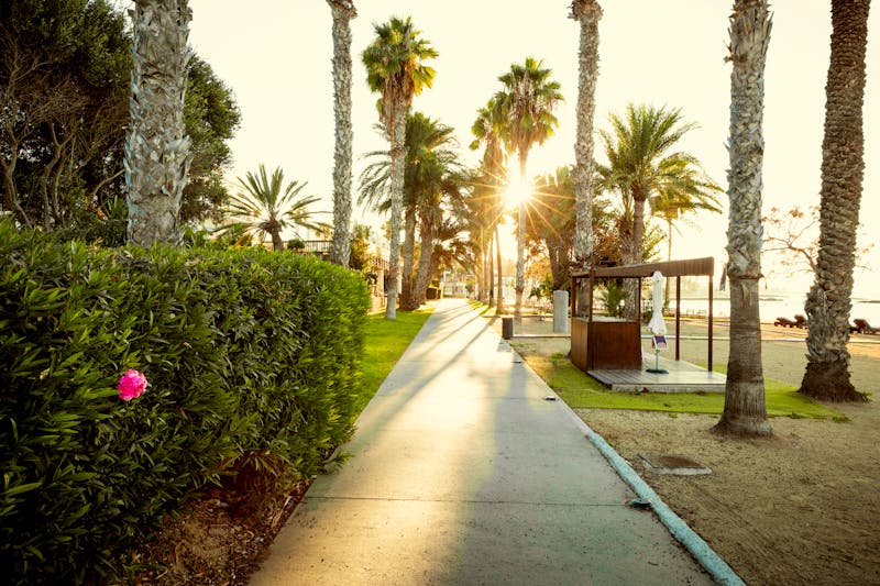 Promenade am Meer in Paphos - Zypern - ©Mikolaj Niemczewski - stock.adobe.com