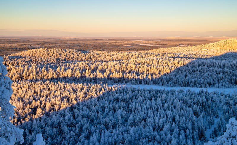 Ruka-Kuusamo Winterlandschaft - ©Salla Karhumaa