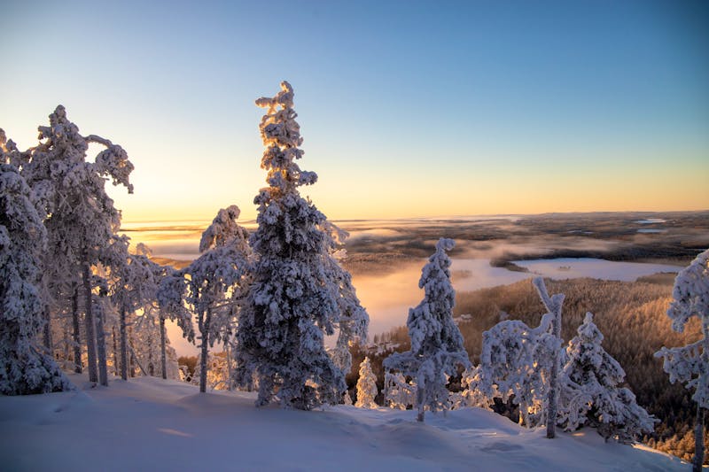 Ruka-Kuusamo Winterlandschaft - ©Salla Karhumaa
